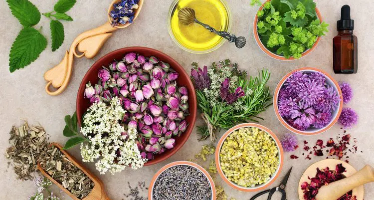 Gail’s leap of faith: How the School of Natural Skincare began Behind the scenes
