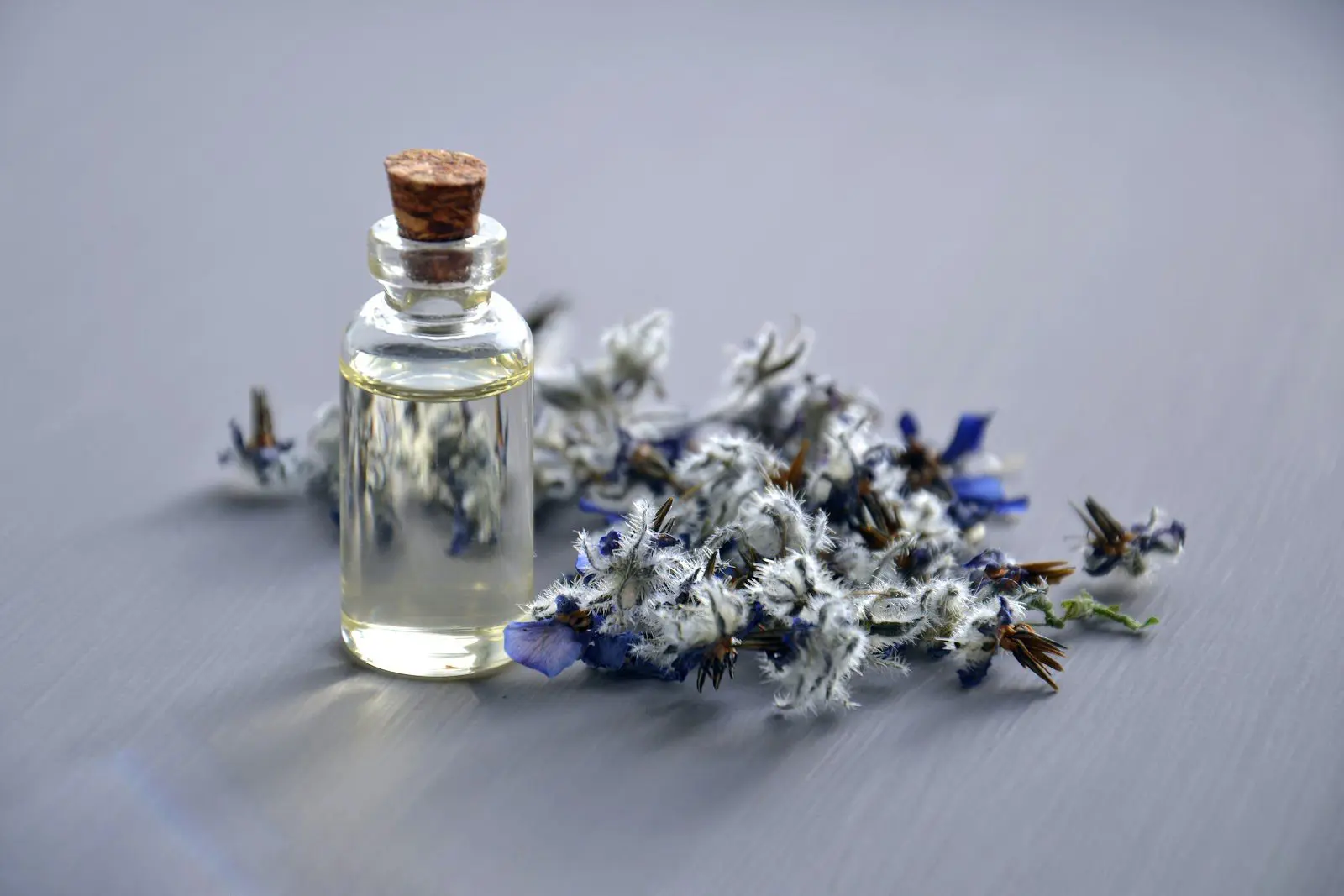 Carrier Oils: Finding the right carrier oil for your skin Natural Skincare Ingredients