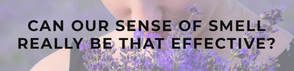 10 essential oils to combat stress and anxiety and encourage better sleep – naturally! Essential oils 