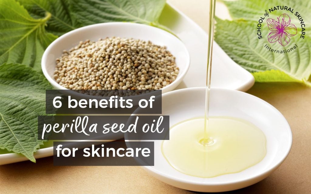 Photo of perilla leaves, seeds and oil