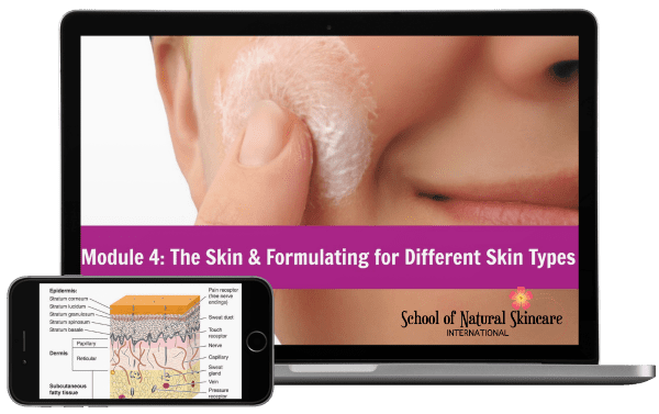 72hr offer EVG: Diploma in Natural Skincare Formulation plus AHAs 