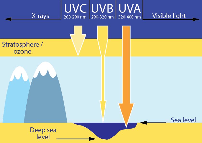 Chart showing different strengths of UVC UVB and UVA at different altitudes
