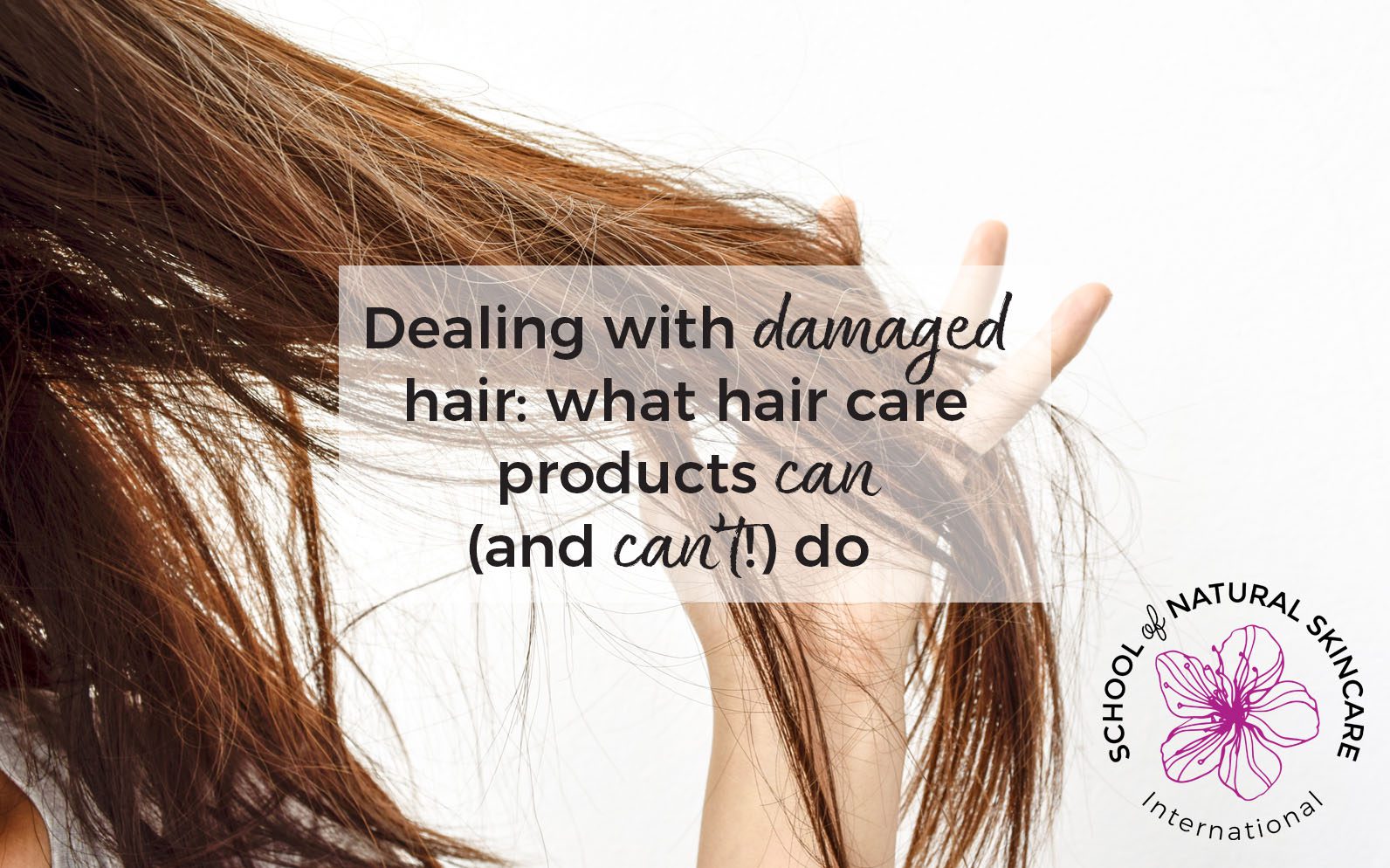 Dealing with Damaged Hair: What Hair Care Products Can (and can't!) Do - School of Natural Skincare Dealing with Damaged Hair: What Hair Care Products Can (and can't!) Do - School of Natural Skincare