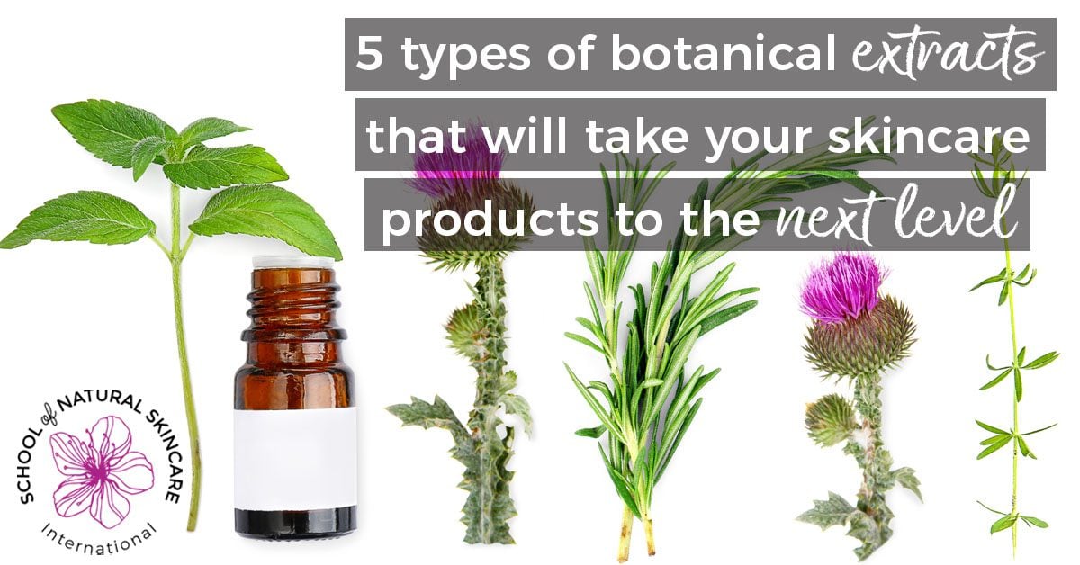 5 types of botanical extracts that will take your skincare products to the next level School