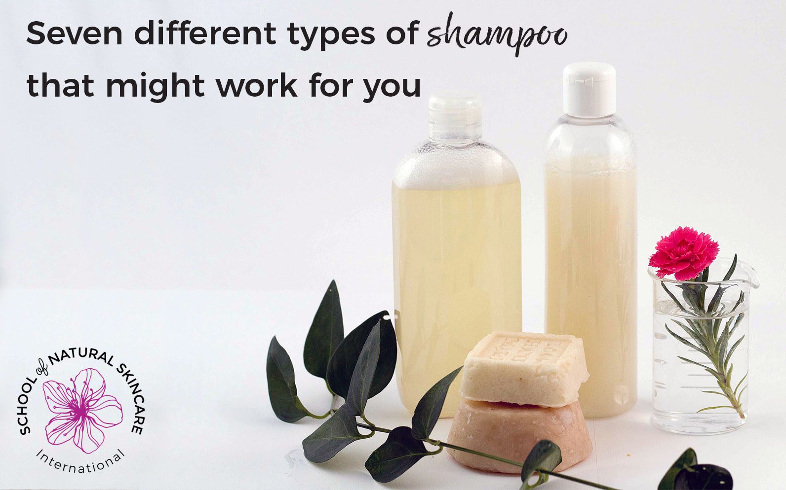 Allieret Forkorte overvældende Clarify your Shampoo Knowledge: Seven Different Types of Shampoo that Might  Work for You - School of Natural Skincare