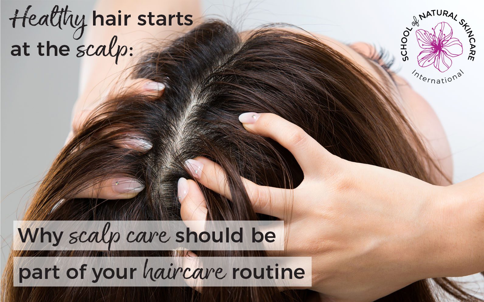Healthy Hair Starts At The Root: Why Scalp Care Should be Part of Your  Haircare Routine - School of Natural Skincare