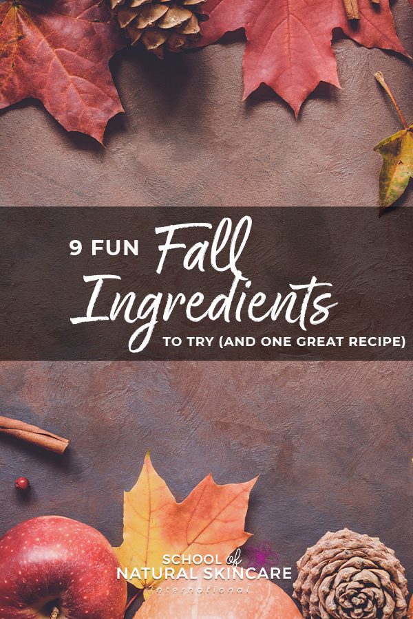 9 Fun Fall Ingredients to Try (And One Great Free Recipe!) Natural Bodycare recipes Natural Skincare Ingredients 