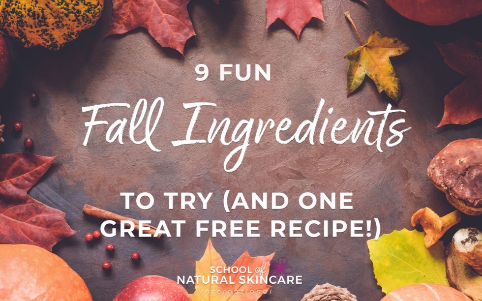 9 Fun Fall Ingredients to Try (And One Great Free Recipe!) - School of ...