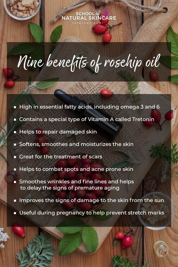 9 Natural Benefits of Rosehip Oil for Your Skin Natural Skincare Ingredients 