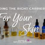 4 Top carrier oils for dry winter skin Natural Skincare Ingredients 