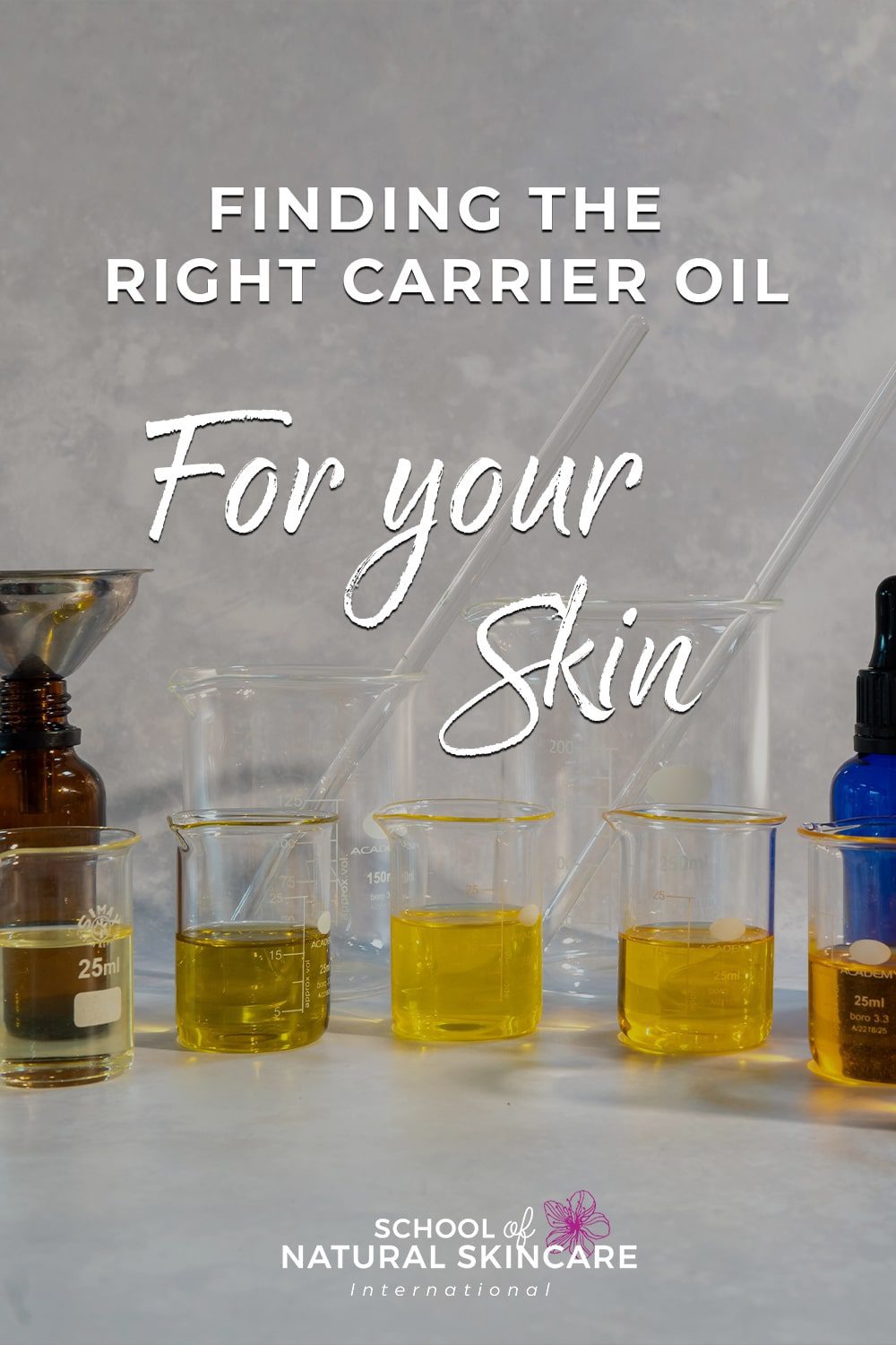 Top 7 Carrier Oils for Natural Skin Care Businesses - DIY Skin Care Business