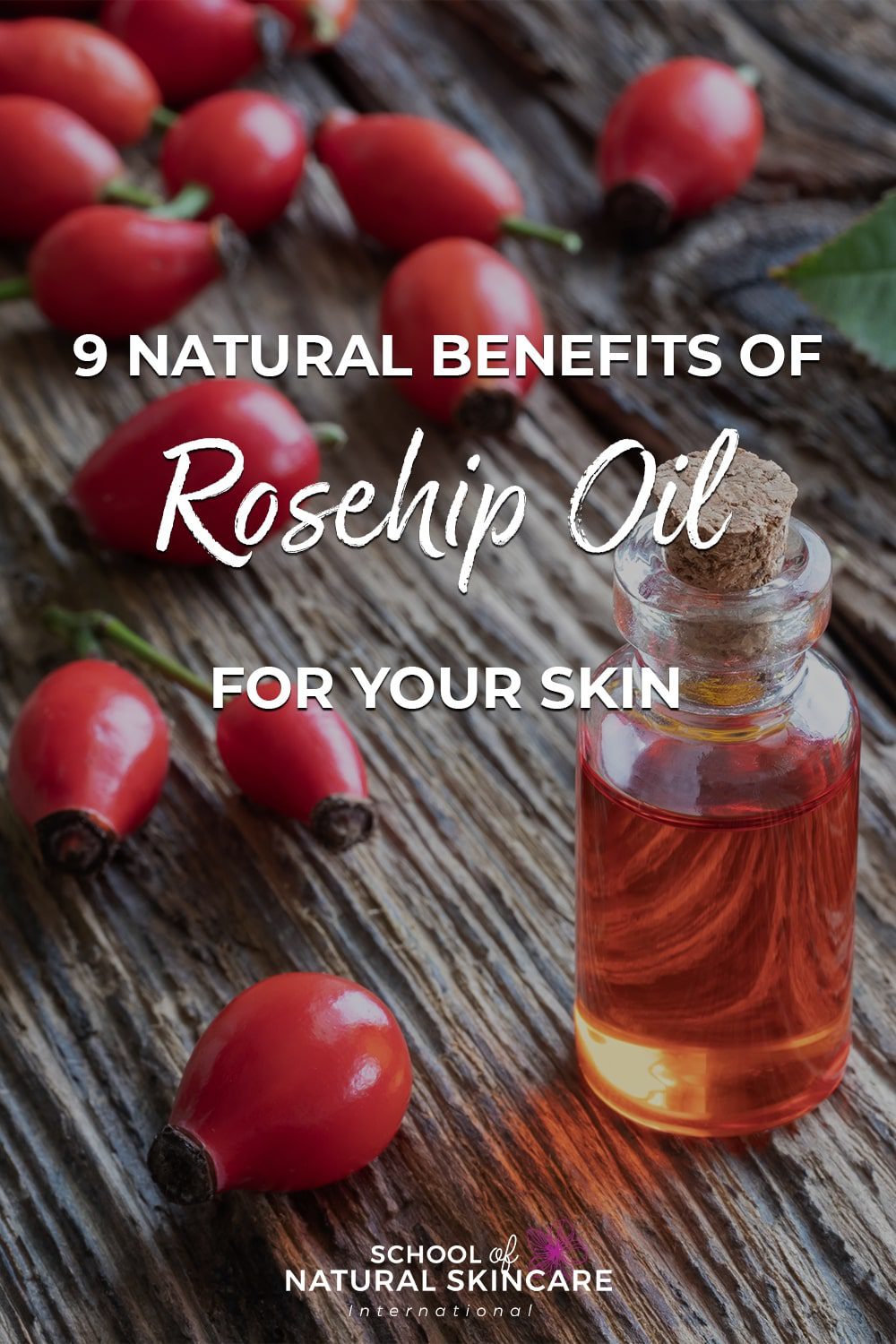 9 Natural Benefits of Rosehip Oil for Your Skin Natural Skincare Ingredients 