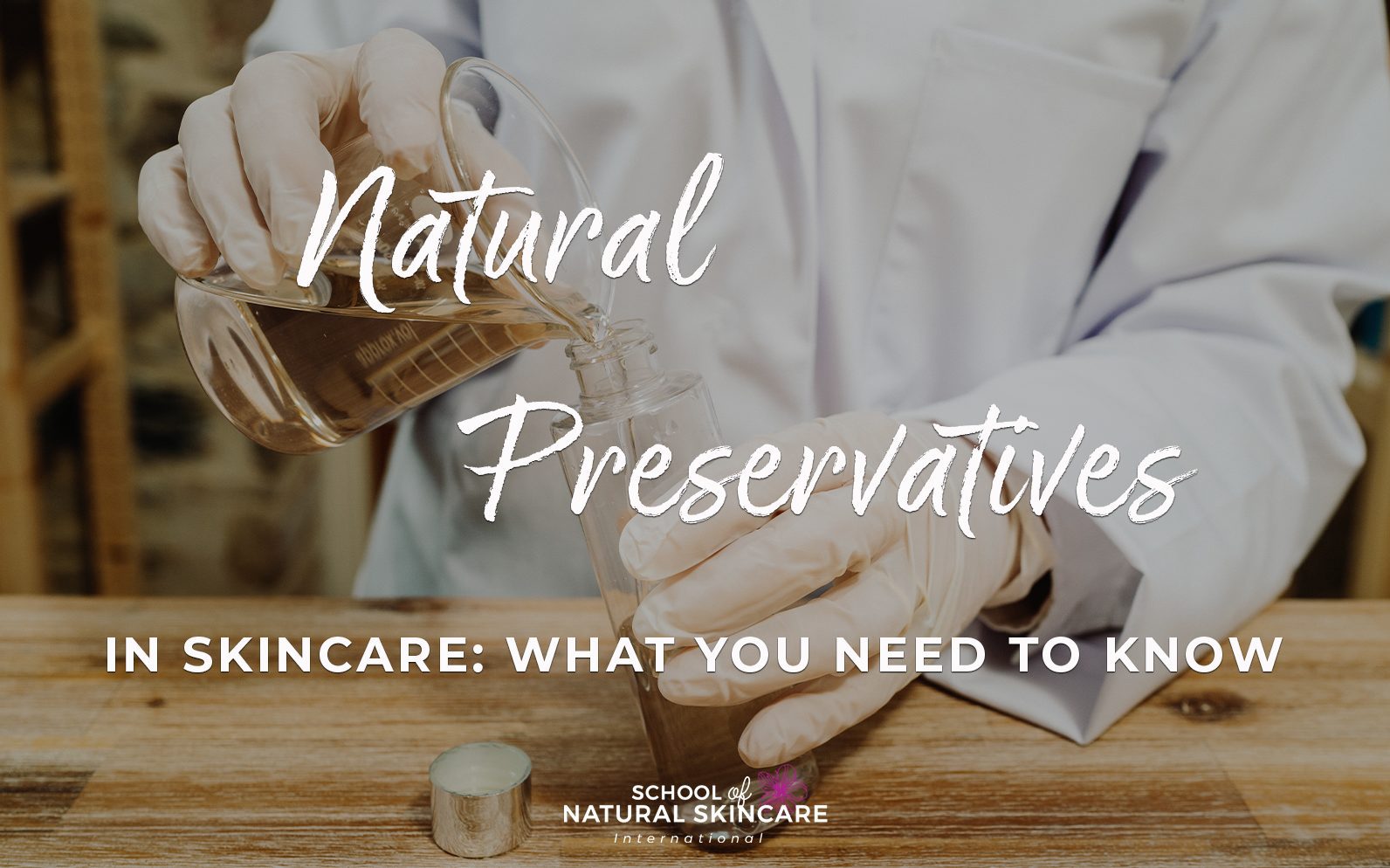 Natural Preservatives for Homemade Lotion {An Experiment}