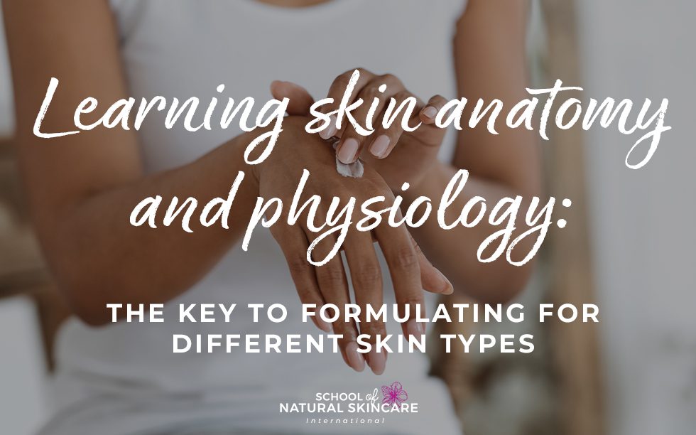 Learning skin anatomy & physiology: the key to formulating for different skin types