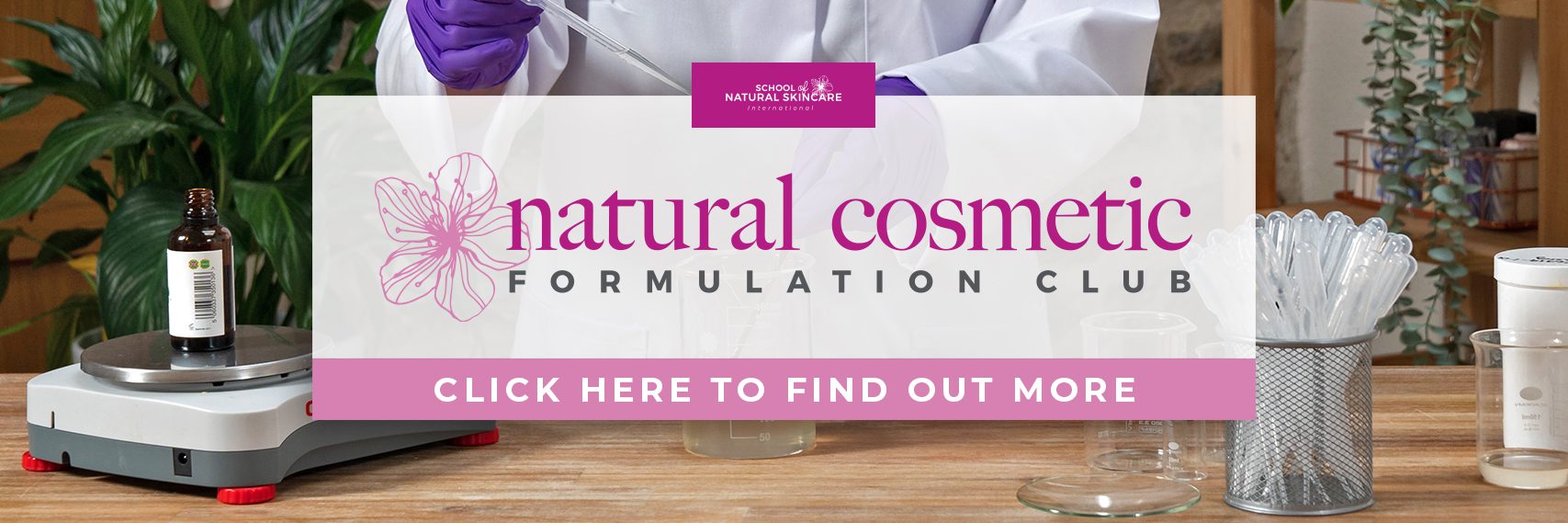 Being part of the Club; feeling like a member of the natural cosmetic world Student success stories 