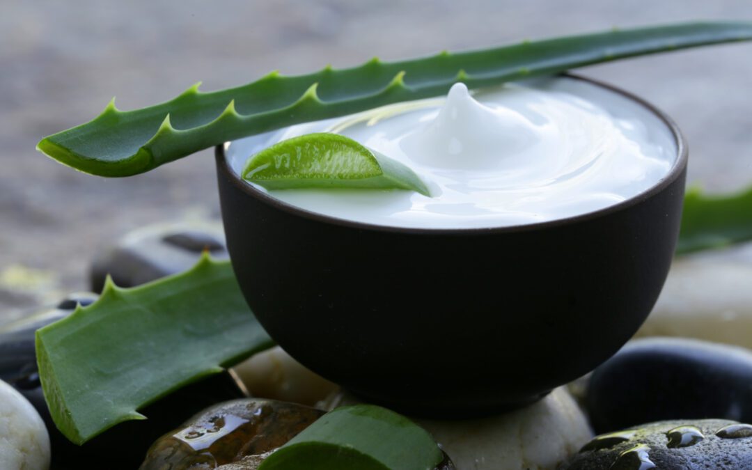 The Power of Aloe Vera in Skincare: The Multi-Purpose Ingredient Transforming Skincare Products