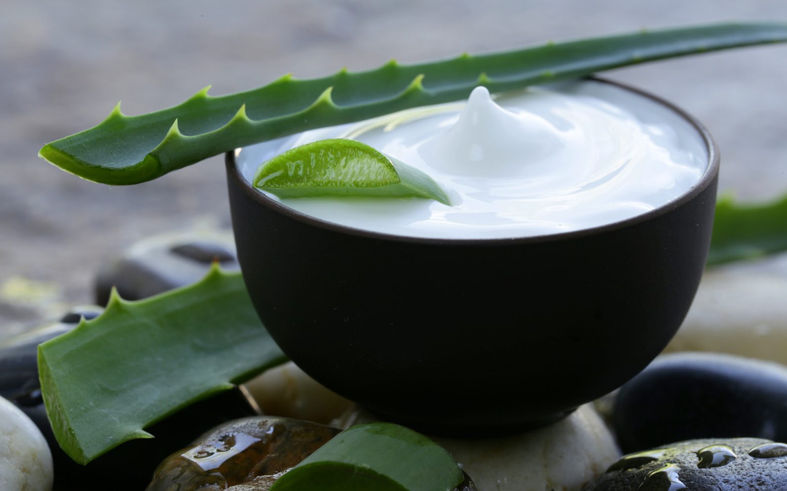 The Power of Aloe Vera in Skincare: The Multi-Purpose Ingredient