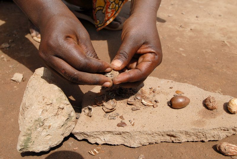 Unlocking the Benefits of Shea Butter for Natural Skincare: From Women's Gold to Skincare Essential Natural Skincare Ingredients 