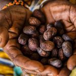 Creating Nourishing Products for Natural, Afro-textured Hair Haircare Formulation 